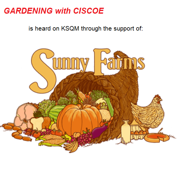 A large logo depicting the news story GARDENING WITH CISCOE-SPONSORED BY SUNNY FARMS FARM STORE